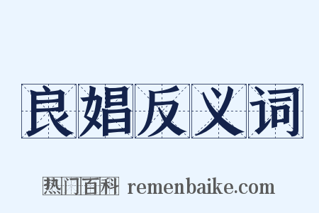 良娼反义词是什么意思的图片